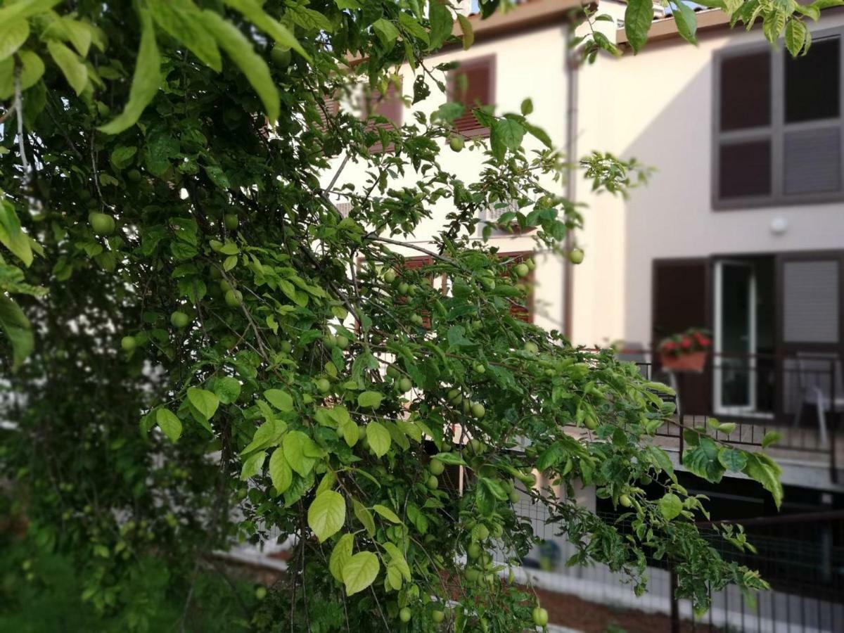 Family Apartment Ingrid Pula Exterior foto
